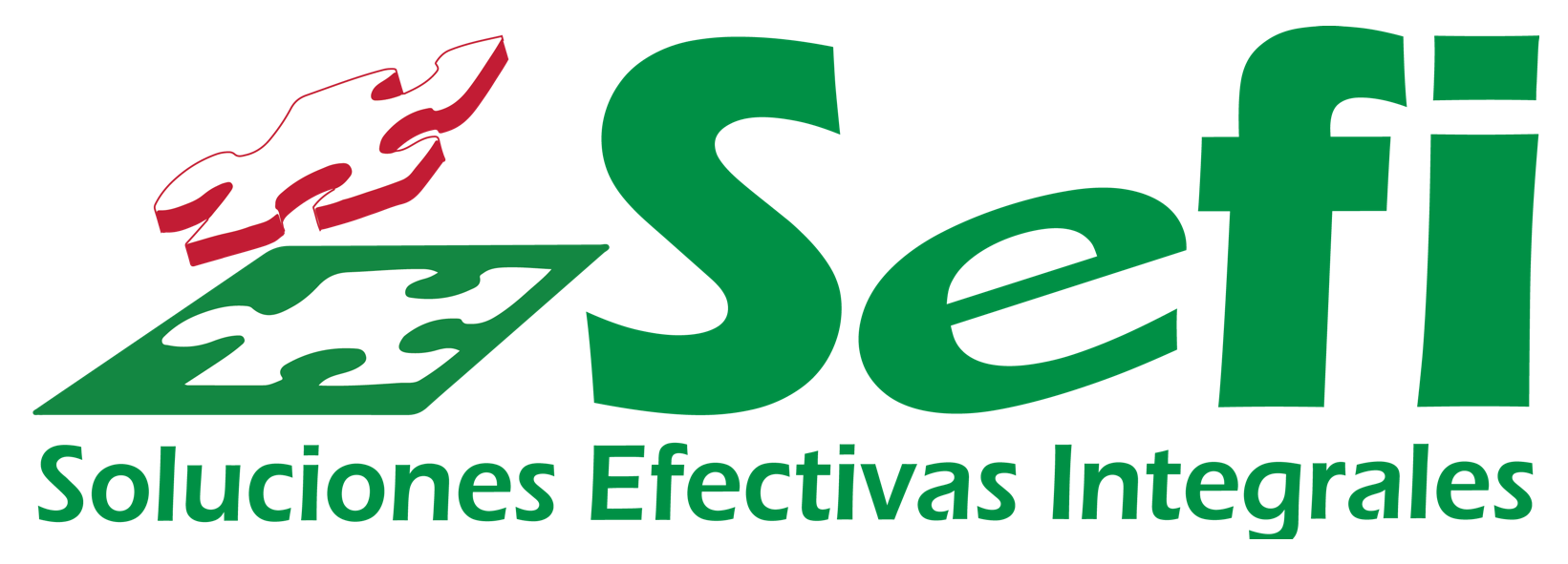 SEFI IT Logo